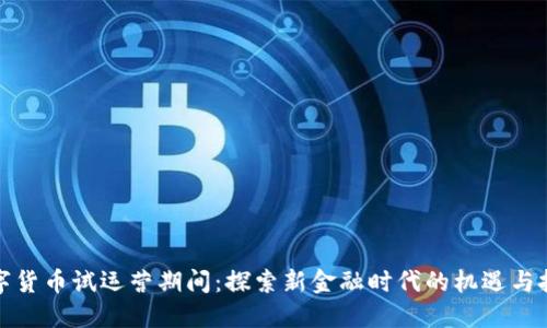 数字货币试运营期间：探索新金融时代的机遇与挑战