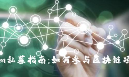 Tokenim私募指南：如何参与区块链项目投资