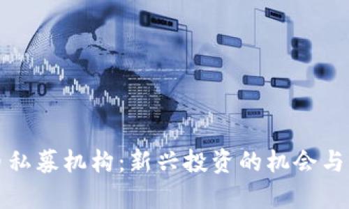 数字货币私募机构：新兴投资的机会与风险分析