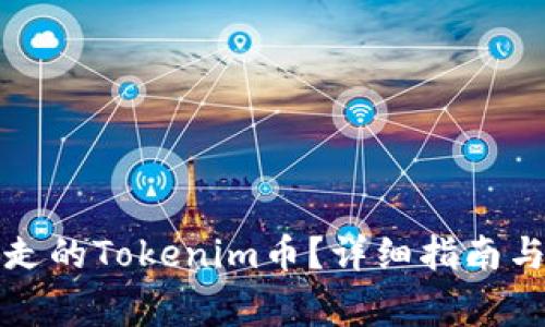 如何找回被转走的Tokenim币？详细指南与常见问题解答