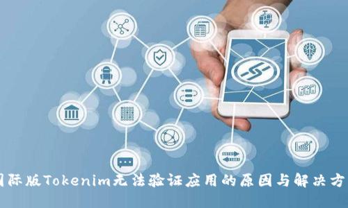 国际版Tokenim无法验证应用的原因与解决方法