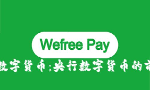 中国法定数字货币：央行数字货币的前景与影响