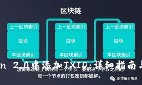 如何在ImToken 2.0中添加TXID：详细指南与常见问题解析
