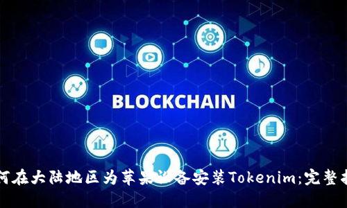 如何在大陆地区为苹果设备安装Tokenim：完整指南