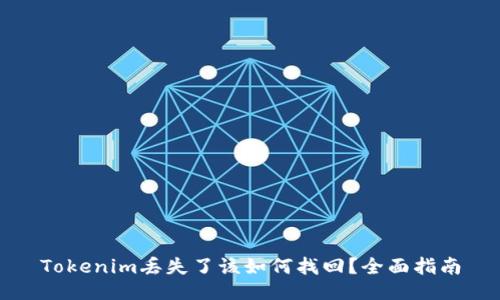 Tokenim丢失了该如何找回？全面指南