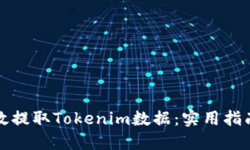 如何高效提取Tokenim数据：实用指南与技巧