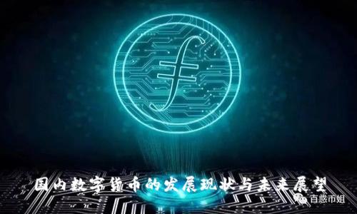 国内数字货币的发展现状与未来展望