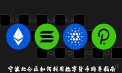 宁波北仑区如何利用数字货币购车指南