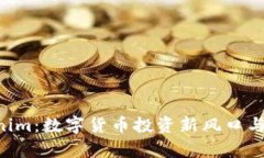 PP Tokenim：数字货币投资新风口与风险分析