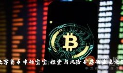 数字货币中的宝宝：投资与风险并存的未来之选