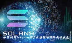 如何利用Tokenim助力区块链项目的成功