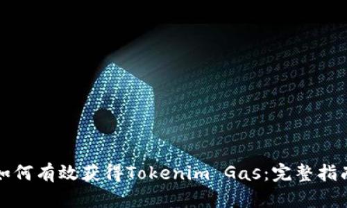 如何有效获得Tokenim Gas：完整指南