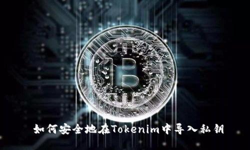  如何安全地在Tokenim中导入私钥