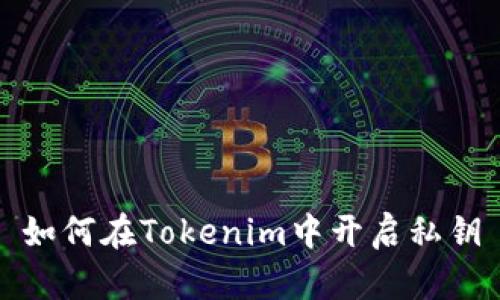 如何在Tokenim中开启私钥